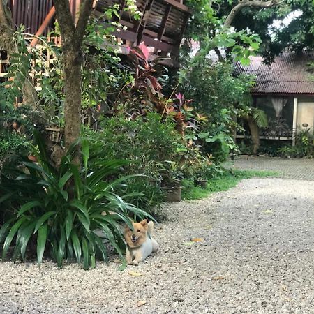 Baan Songjum Hotel Чиангмай Екстериор снимка