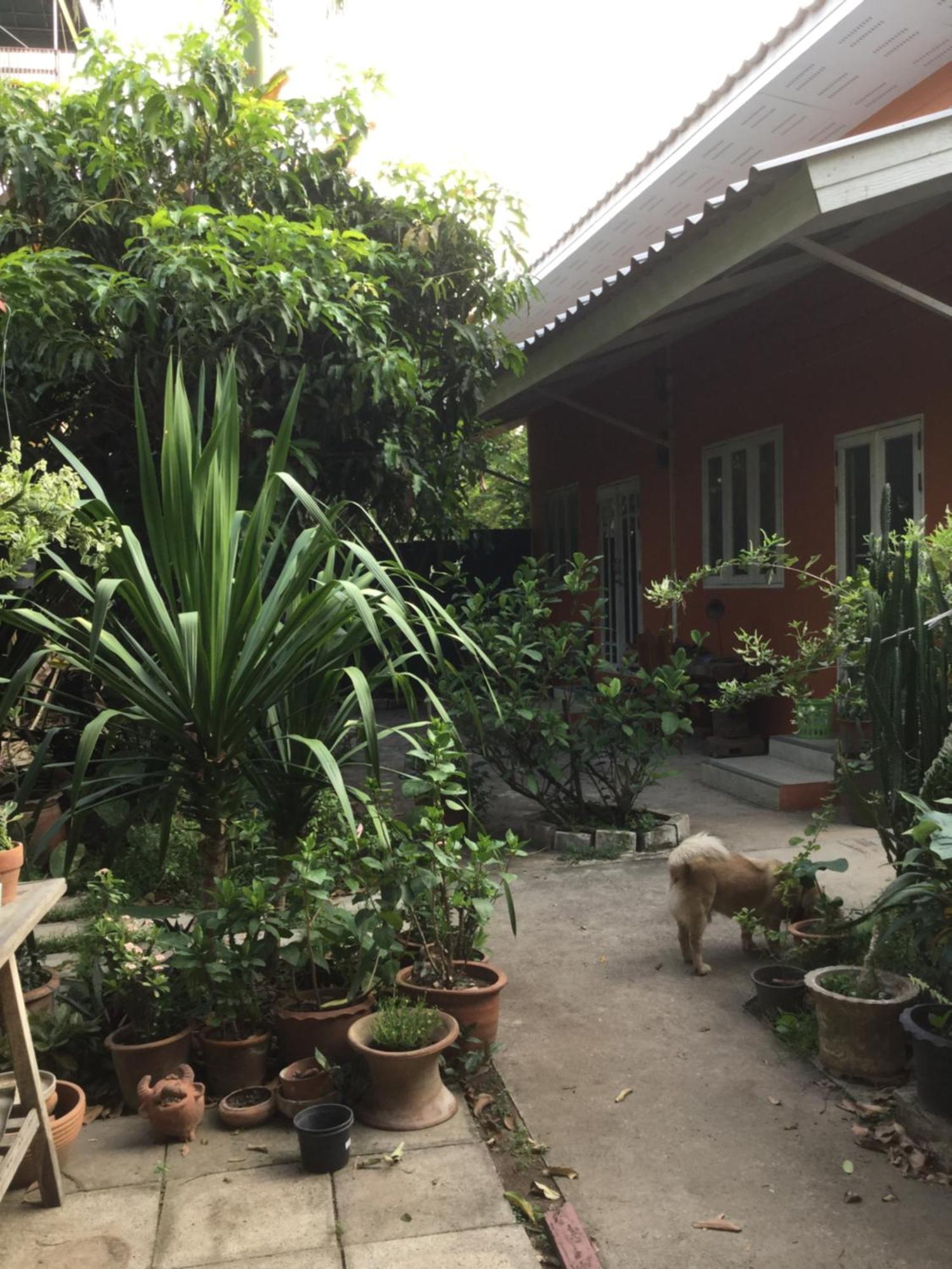 Baan Songjum Hotel Чиангмай Екстериор снимка